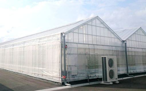 ハウス被覆資材