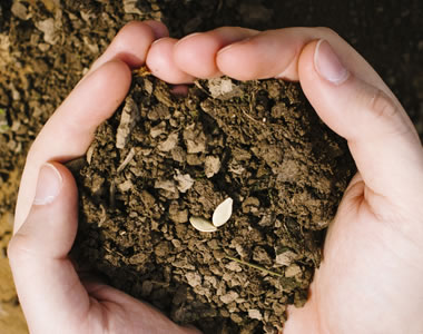 園芸資材、培土